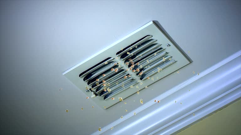 Best Air Duct Cleaning Company Near Me  in Huntsville, TX